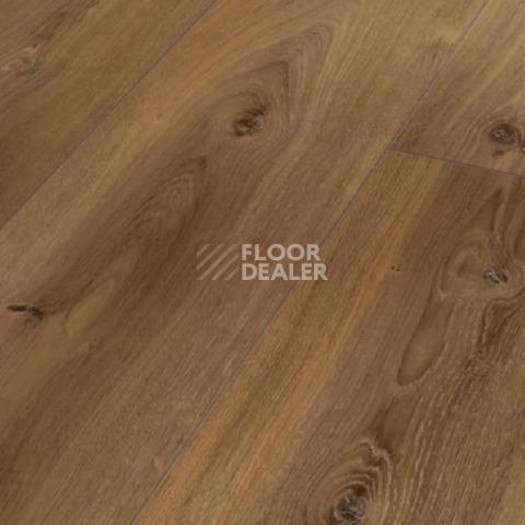 Ламинат Parador Basic Plus 600 XS 1593830 Дуб Монтана Выбеленный фото 1 | FLOORDEALER